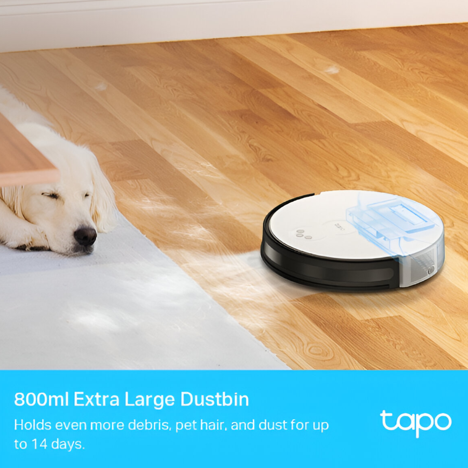 tapo-rv10-lite-robotic-vacuum