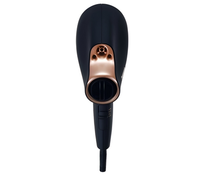 panasonic-EH-NA98-K765-dryer