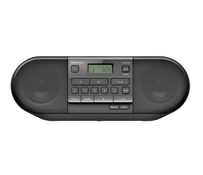 panasonic-RX-D552